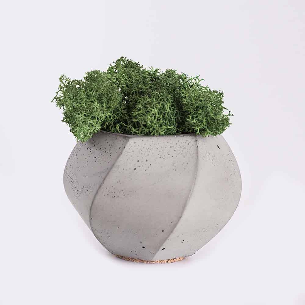 plant4 free img plant4 free img